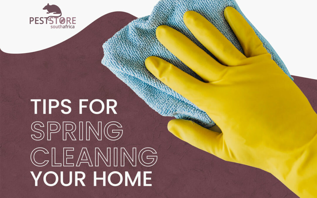 Tips for spring cleaning your home