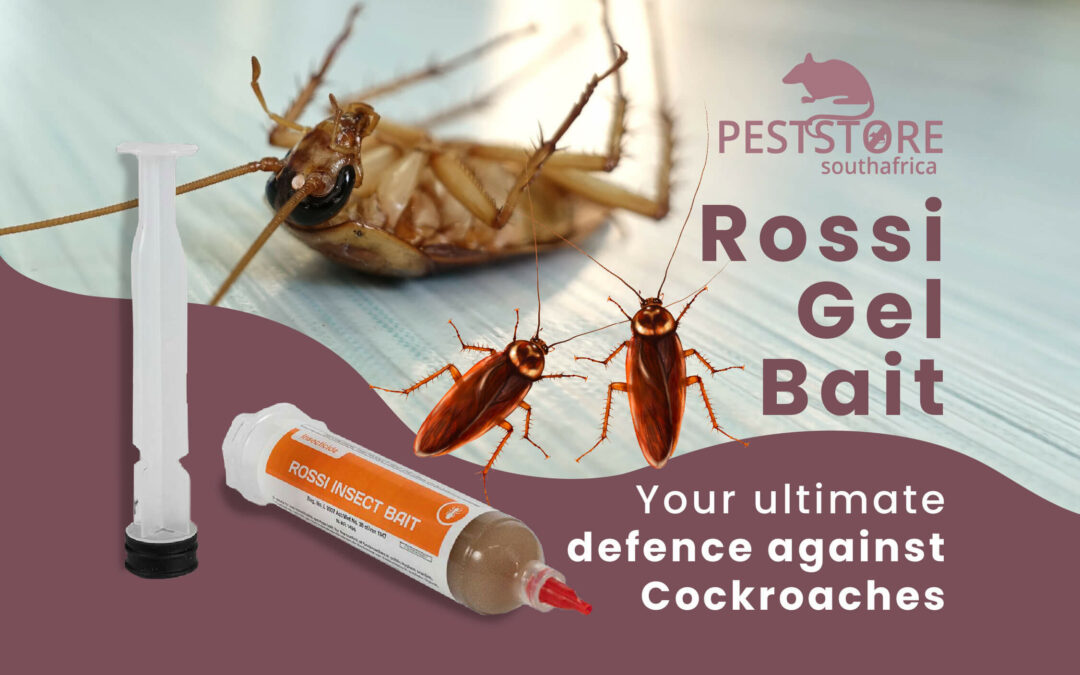 Rossi Gel Bait: Your Ultimate Defence Against Cockroaches